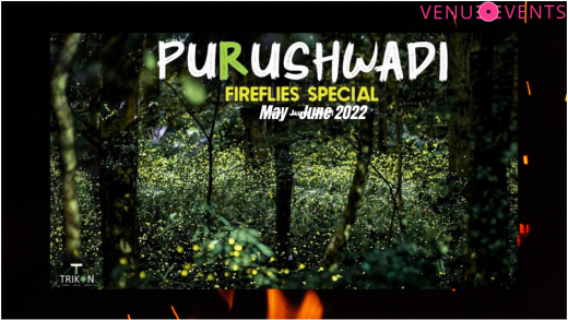 Purushwadi-firefiles festival